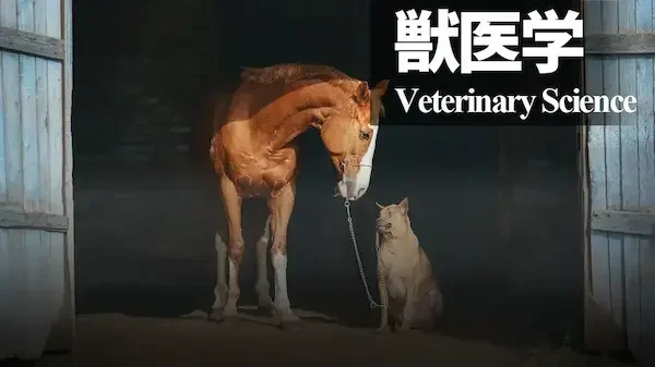 獣医学veterinary